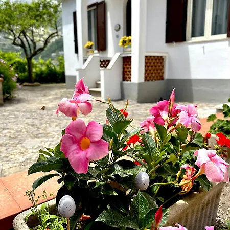 Simona House Hébergement de vacances